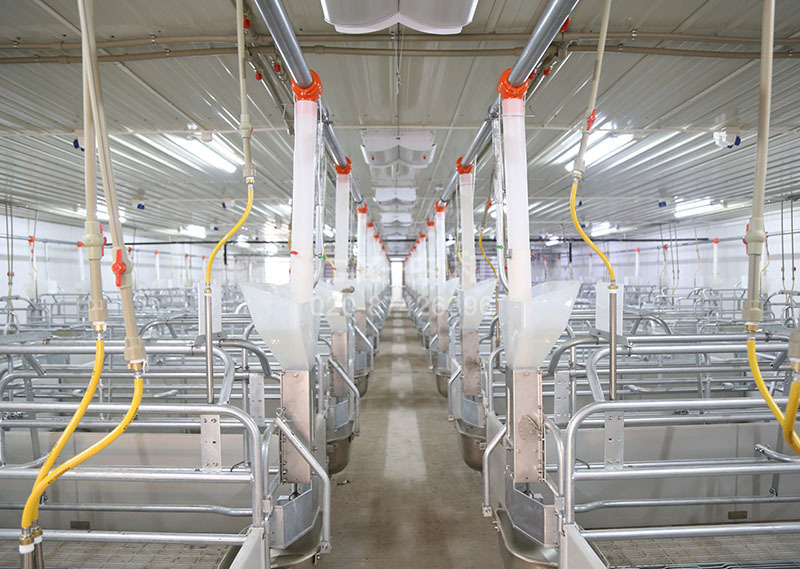 Станки для опороса