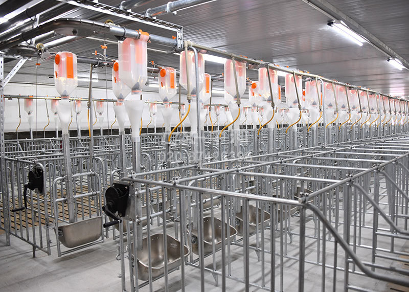 Система кормления (тросс-шайба)