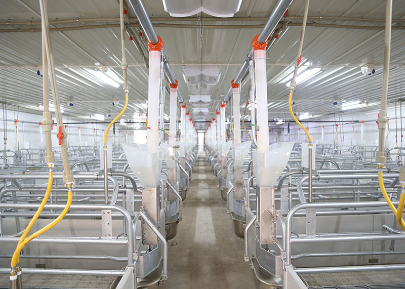 Станки для опороса