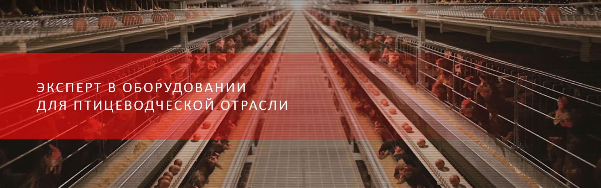 Эксперт в области интеллектуального производства оборудования для животноводства